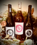 The Fox Wine Co. Gift Pack